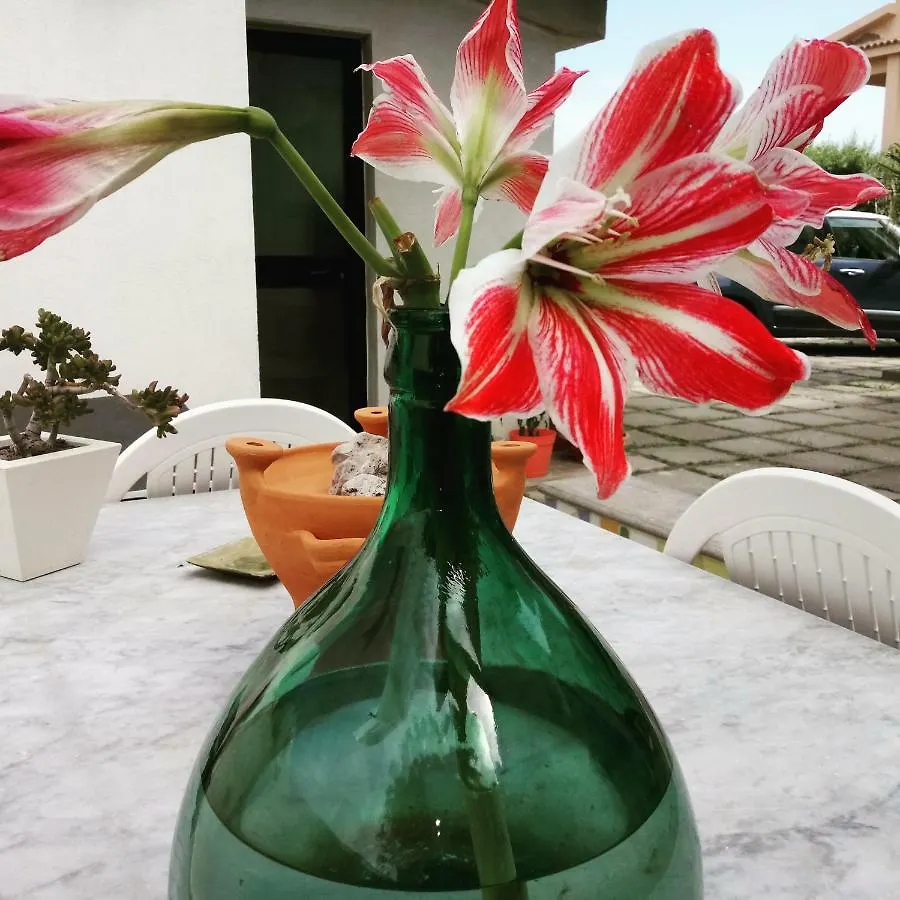 Idria B&B Barcellona-Pozzo di Gotto Italy